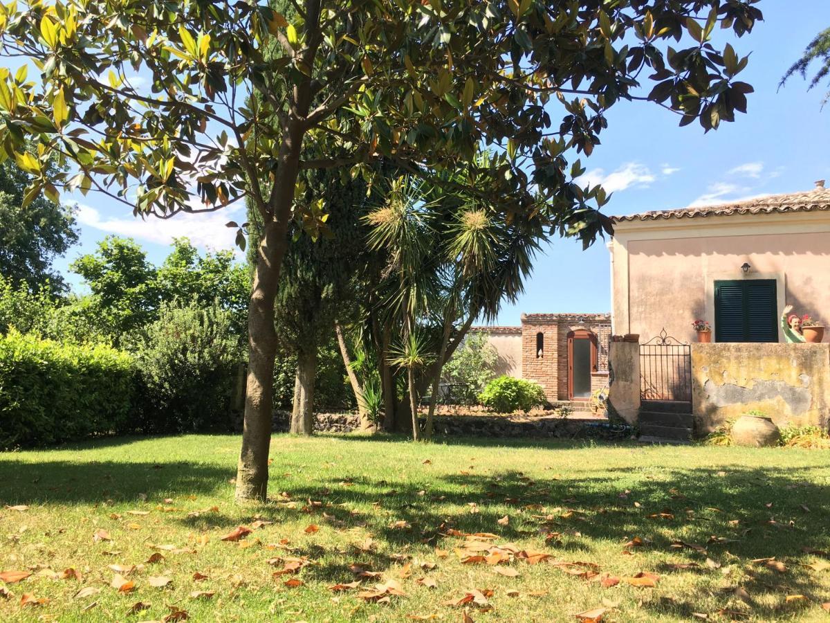 Bed And Breakfast Il Glicine Piedimonte Etneo Δωμάτιο φωτογραφία