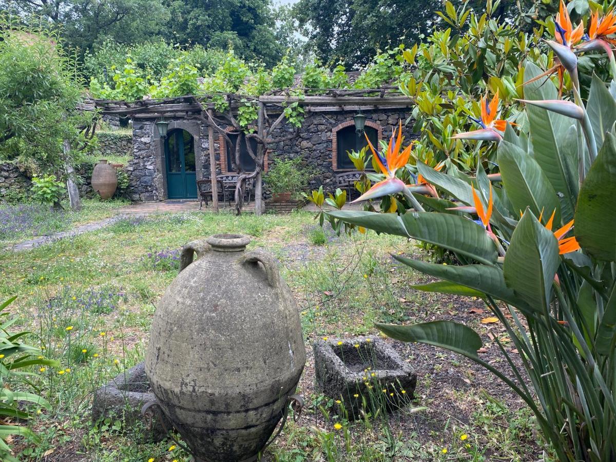 Bed And Breakfast Il Glicine Piedimonte Etneo Εξωτερικό φωτογραφία