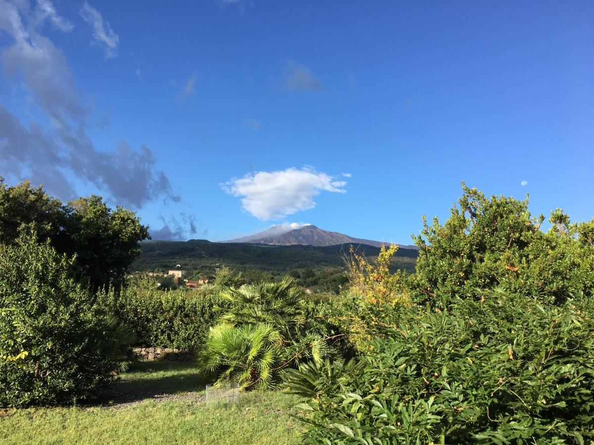 Bed And Breakfast Il Glicine Piedimonte Etneo Εξωτερικό φωτογραφία
