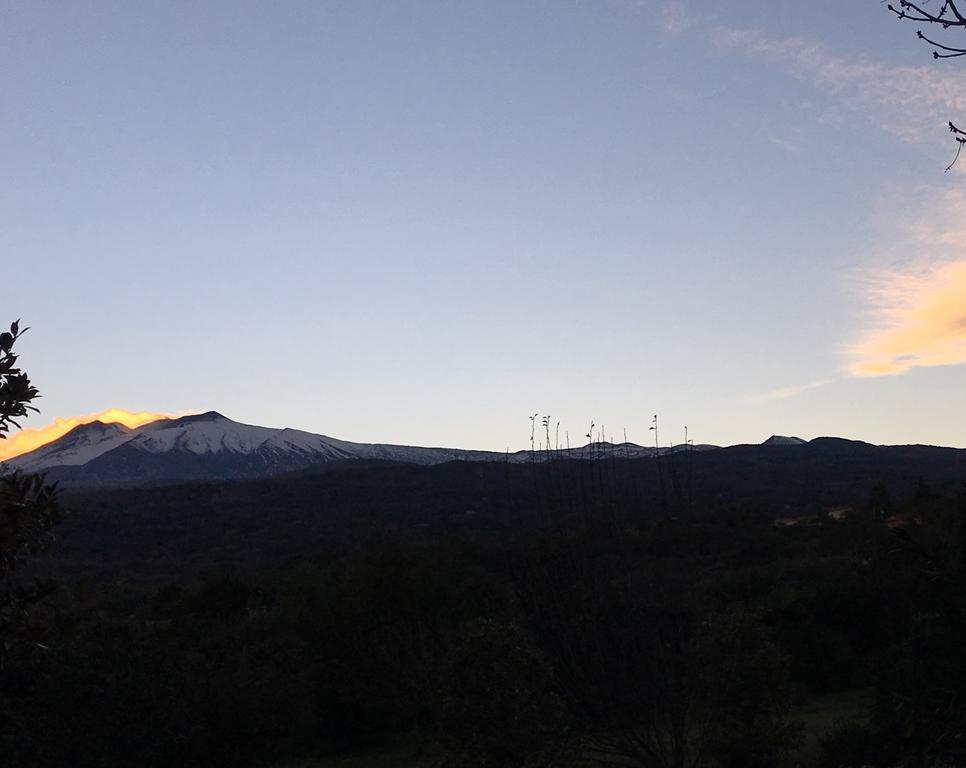 Bed And Breakfast Il Glicine Piedimonte Etneo Εξωτερικό φωτογραφία