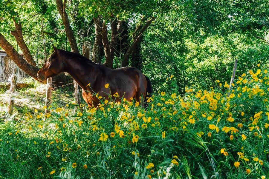 Bed And Breakfast Il Glicine Piedimonte Etneo Εξωτερικό φωτογραφία