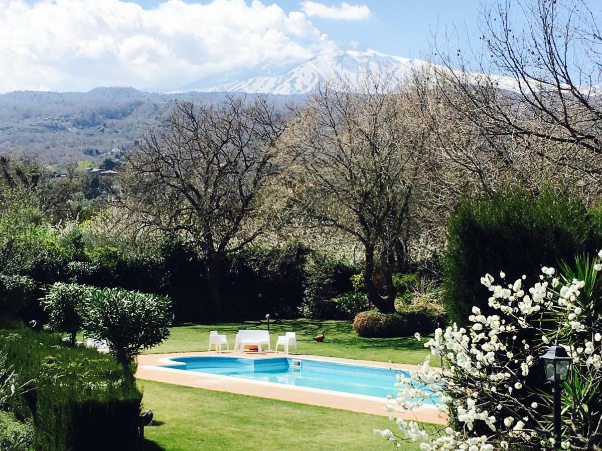 Bed And Breakfast Il Glicine Piedimonte Etneo Εξωτερικό φωτογραφία